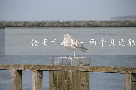 信用卡逾期一两个月还能用么 信用卡逾期一两个月还能用么