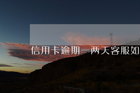 信用卡逾期一两天客服如何回复