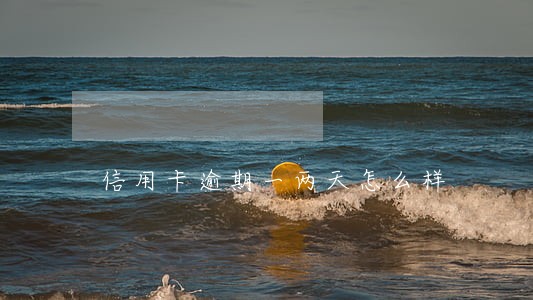 信用卡逾期一两天怎么样