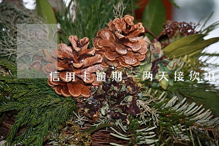 信用卡逾期一两天接次电话 信用卡逾期一两天接次电话