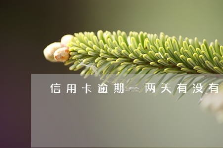 信用卡逾期一两天有没有关系 信用卡逾期一两天有没有关系
