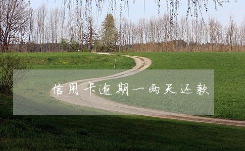 信用卡逾期一两天还款 信用卡逾期一两天还款