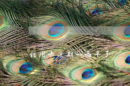信用卡逾期一两年了 信用卡逾期一两年了