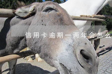 信用卡逾期一两年会怎么样 信用卡逾期一两年会怎么样