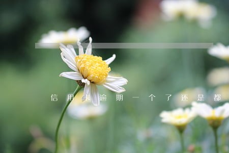 信用卡逾期一个了还是都逾期 信用卡逾期一个了还是都逾期