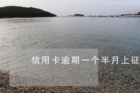 信用卡逾期一个半月上征信 信用卡逾期一个半月上征信