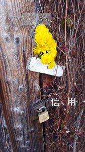 信用卡逾期一个半月会怎么样 信用卡逾期一个半月会怎么样