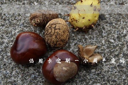 信用卡逾期一个周严重吗建行 信用卡逾期一个周严重吗建行