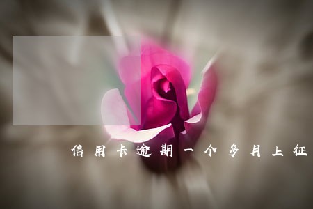 信用卡逾期一个多月上征信吗 信用卡逾期一个多月上征信吗