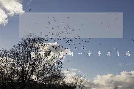 信用卡逾期一个多月了还不上