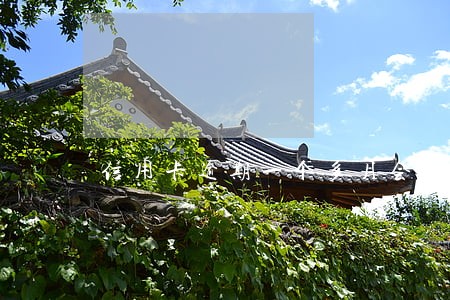 信用卡逾期一个多月会封卡吗 信用卡逾期一个多月会封卡吗