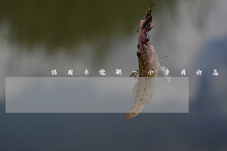 信用卡逾期一个多月会怎样 信用卡逾期一个多月会怎样