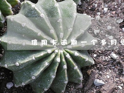 信用卡逾期一个多月受人威胁 信用卡逾期一个多月受人威胁