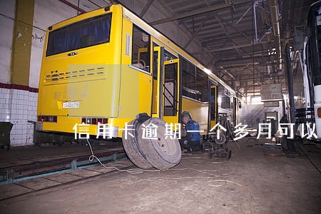 信用卡逾期一个多月可以吗 信用卡逾期一个多月可以吗