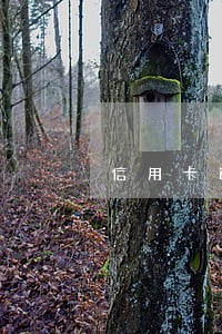 信用卡逾期一个多月该怎么办 信用卡逾期一个多月该怎么办