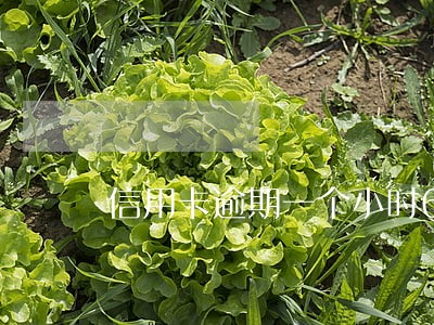 信用卡逾期一个小时6个电话