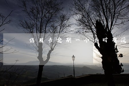 信用卡逾期一个小时有没有事