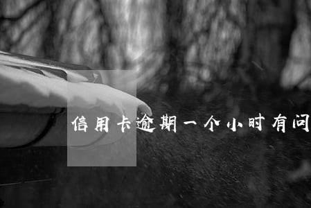信用卡逾期一个小时有问题吗 信用卡逾期一个小时有问题吗