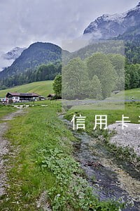 信用卡逾期一个星期会影响 信用卡逾期一个星期会影响