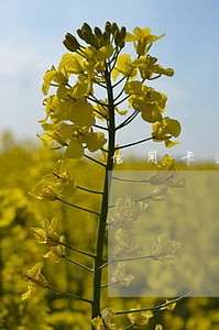 信用卡逾期一个星期怎么处理
