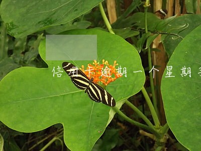 信用卡逾期一个星期手续费多少 信用卡逾期一个星期手续费多少