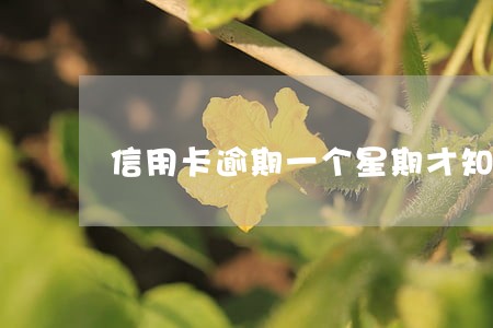 信用卡逾期一个星期才知道 信用卡逾期一个星期才知道