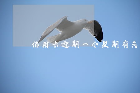 信用卡逾期一个星期有关系没 信用卡逾期一个星期有关系没