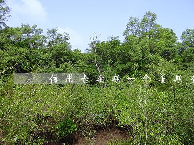 信用卡逾期一个星期有没有事 信用卡逾期一个星期有没有事