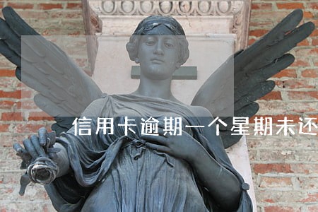 信用卡逾期一个星期未还