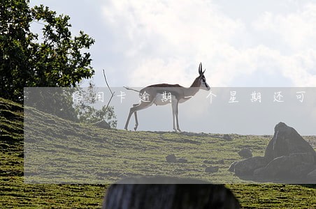 信用卡逾期一个星期还可以嘛 信用卡逾期一个星期还可以嘛