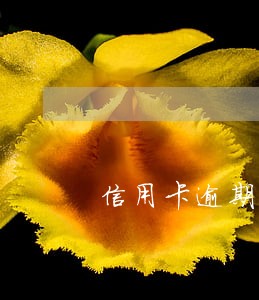 信用卡逾期一个星期还最低 信用卡逾期一个星期还最低