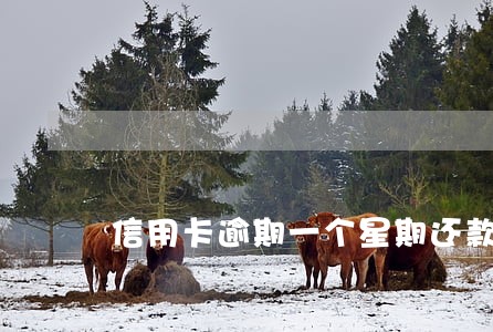 信用卡逾期一个星期还款 信用卡逾期一个星期还款