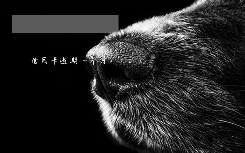 信用卡逾期一个月2021 信用卡逾期一个月2021