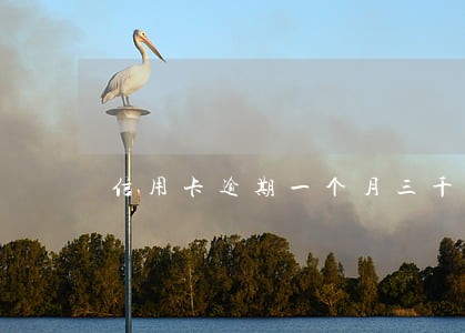 信用卡逾期一个月三千块 信用卡逾期一个月三千块