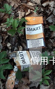 信用卡逾期一个月上征信么 信用卡逾期一个月上征信么