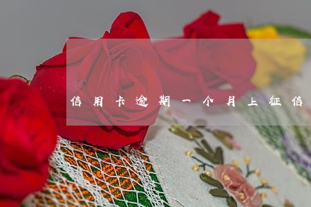 信用卡逾期一个月上征信显示没有 信用卡逾期一个月上征信显示没有