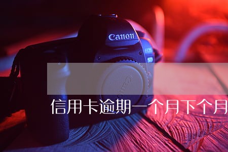 信用卡逾期一个月下个月怎么还