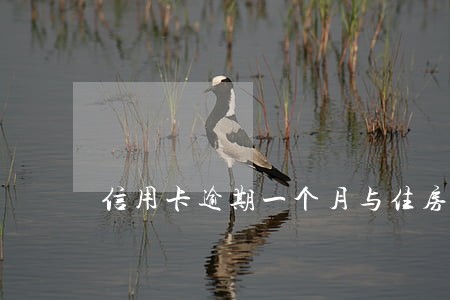 信用卡逾期一个月与住房贷款 信用卡逾期一个月与住房贷款