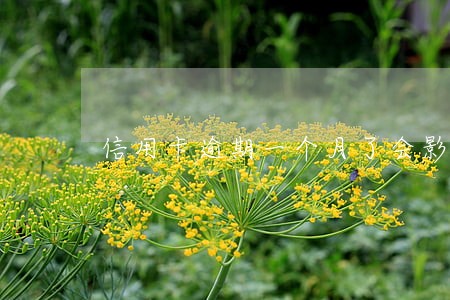 信用卡逾期一个月了会影响征信 信用卡逾期一个月了会影响征信