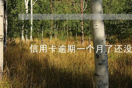 信用卡逾期一个月了还没还怎么办