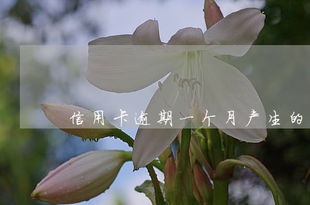 信用卡逾期一个月产生的费用