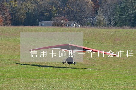 信用卡逾期一个月会咋样 信用卡逾期一个月会咋样