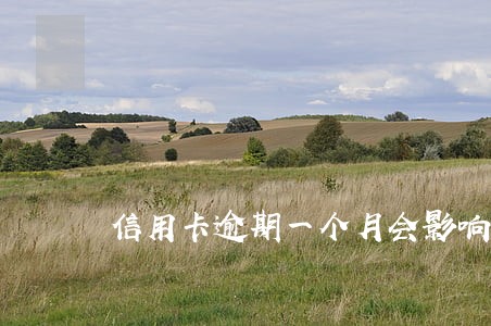 信用卡逾期一个月会影响调额吗 信用卡逾期一个月会影响调额吗