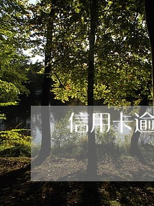 信用卡逾期一个月会有什么后果 信用卡逾期一个月会有什么后果