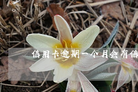 信用卡逾期一个月会有信用记录吗