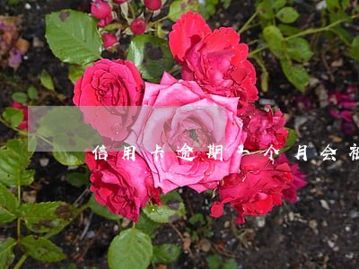 信用卡逾期一个月会被冻结 信用卡逾期一个月会被冻结