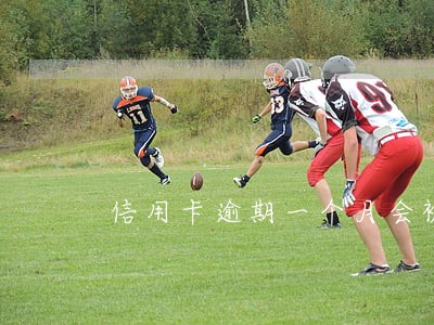 信用卡逾期一个月会被抓吗 信用卡逾期一个月会被抓吗