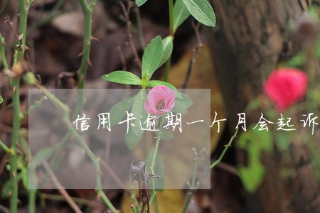 信用卡逾期一个月会起诉不 信用卡逾期一个月会起诉不