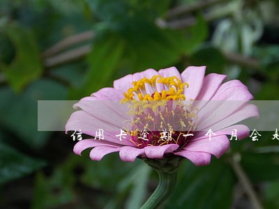 信用卡逾期一个月会起诉吗 信用卡逾期一个月会起诉吗