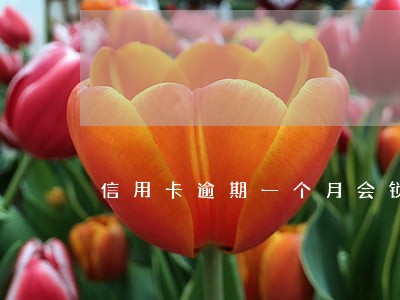 信用卡逾期一个月会锁卡吗 信用卡逾期一个月会锁卡吗